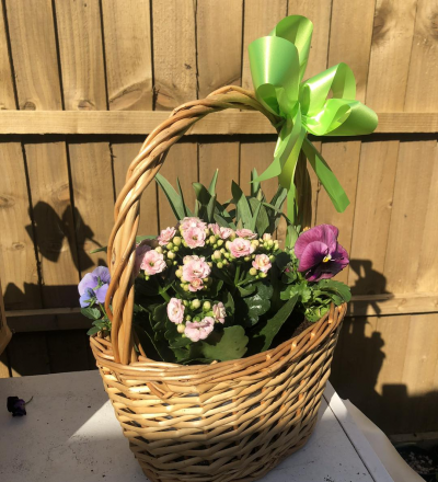 Perfect Petals UK - Planted Basket