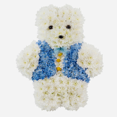 Teddy Bear  SYM-356 Product Image