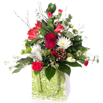 Scarlet & Snow Product Image